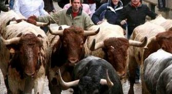 Carnaval del Toro de Ciudad Rodrigo