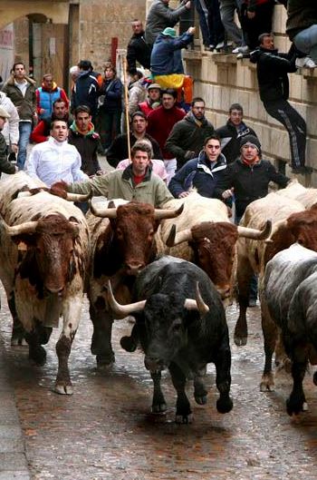 Carnaval del Toro de Ciudad Rodrigo