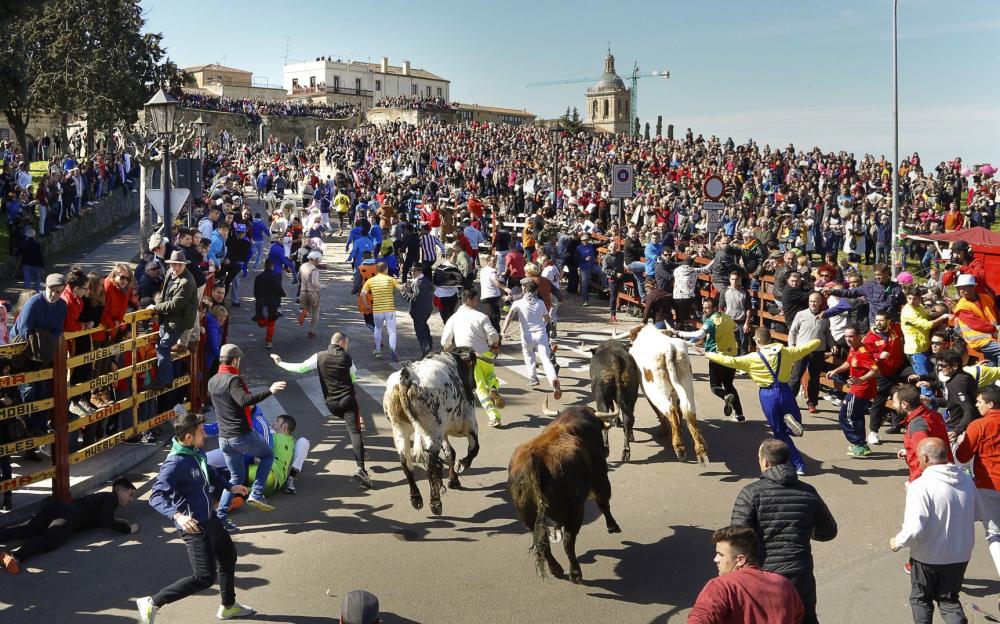 Carnaval del Toro de Ciudad Rodrigo - Fiestas en Salamanca - Fiestas España