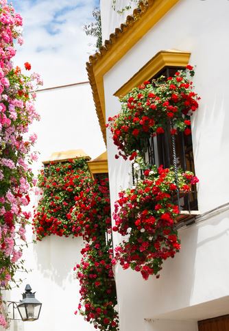 Concurso de Rejas y Balcones de Córdoba