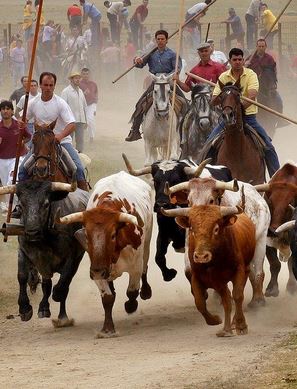 Fiesta del Corpus de Ledesma