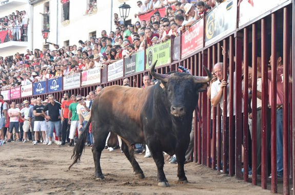 san juan coria fiestas de san juan en coria programaci 243 n oficial san juan coria fiestas de san juan en coria programaci 243 n oficial