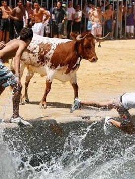 Festa Bous a la Mar de Dénia