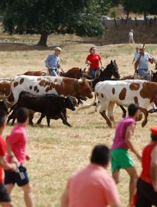 Fiestas Mayores de Fuentesaúco