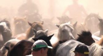 Rapa Das Bestas Sabucedo 2020