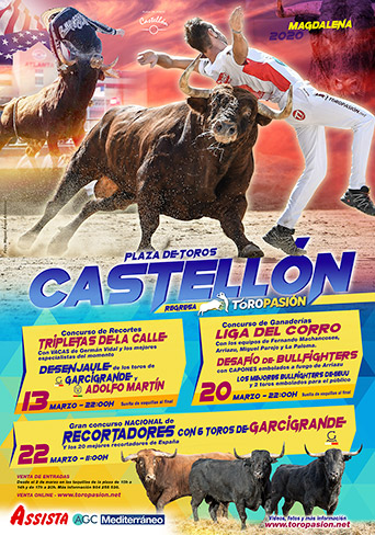 Festejos Taurinos en Castellón