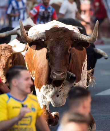 Fiestas y Encierros de San Sebastián de los Reyes