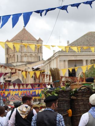 Fiesta de la Vendimia de Toro