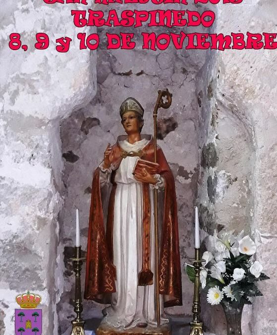 Fiesta San Martín de Traspinedo