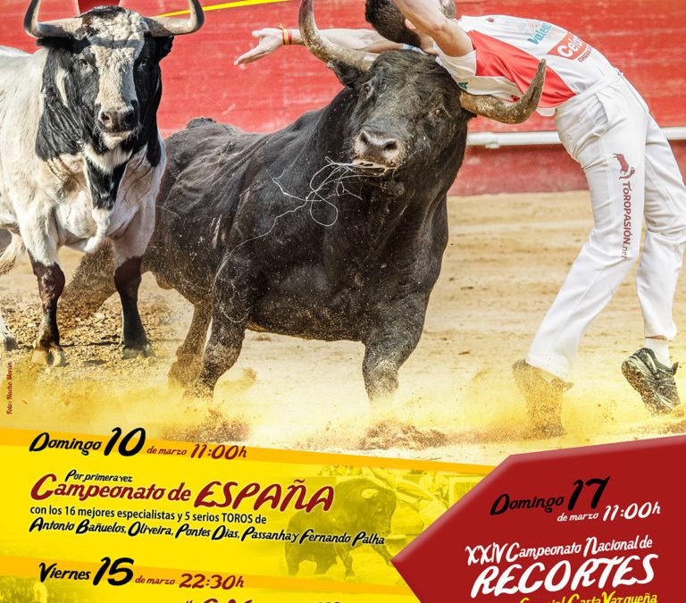 Concursos de Recorte Fallas Valencia