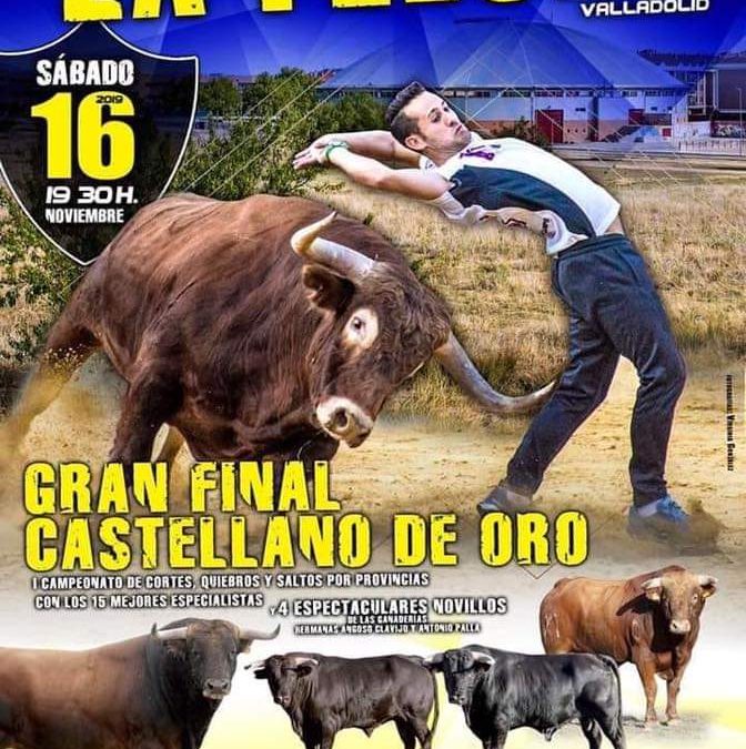 Festejos taurinos en la Flecha (Valladolid)