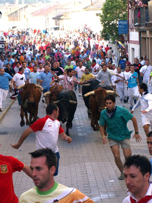 Fuentelapeña – Festejos Taurinos