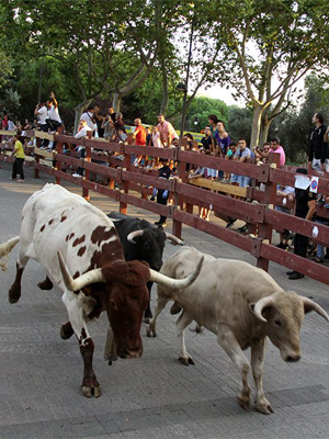 Villalpando – Festejos Taurinos