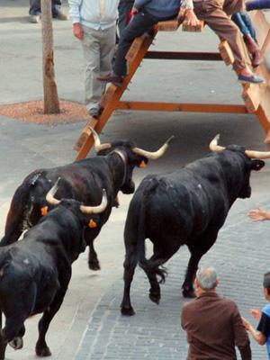 Soria – Festejos Taurinos