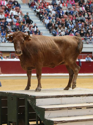 Valencia