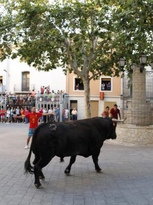 Cáceres