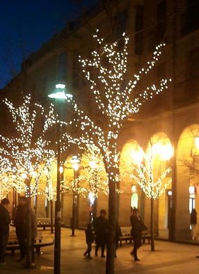 Fiesta Navidad Ávila